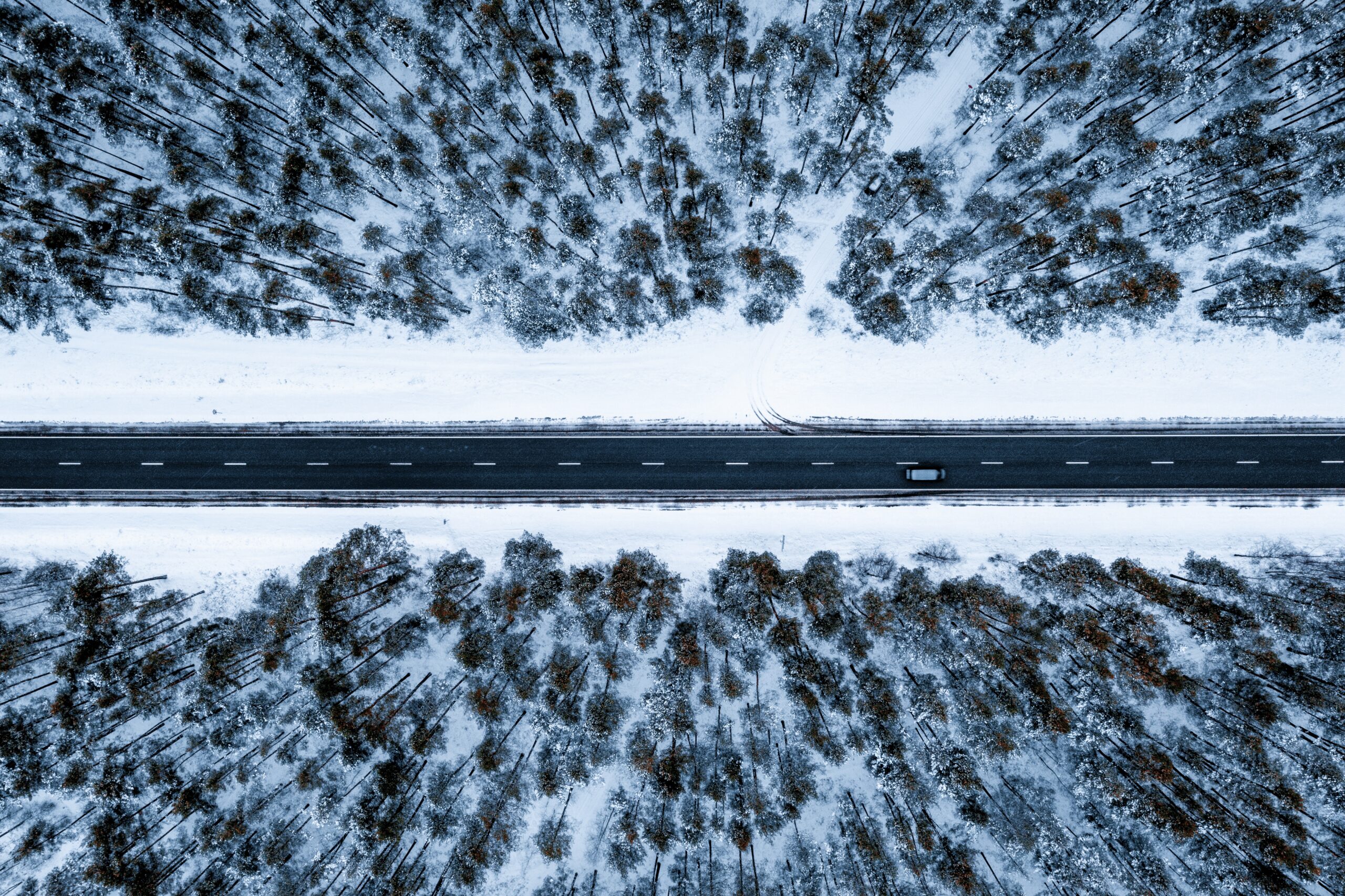 Winter-Checks